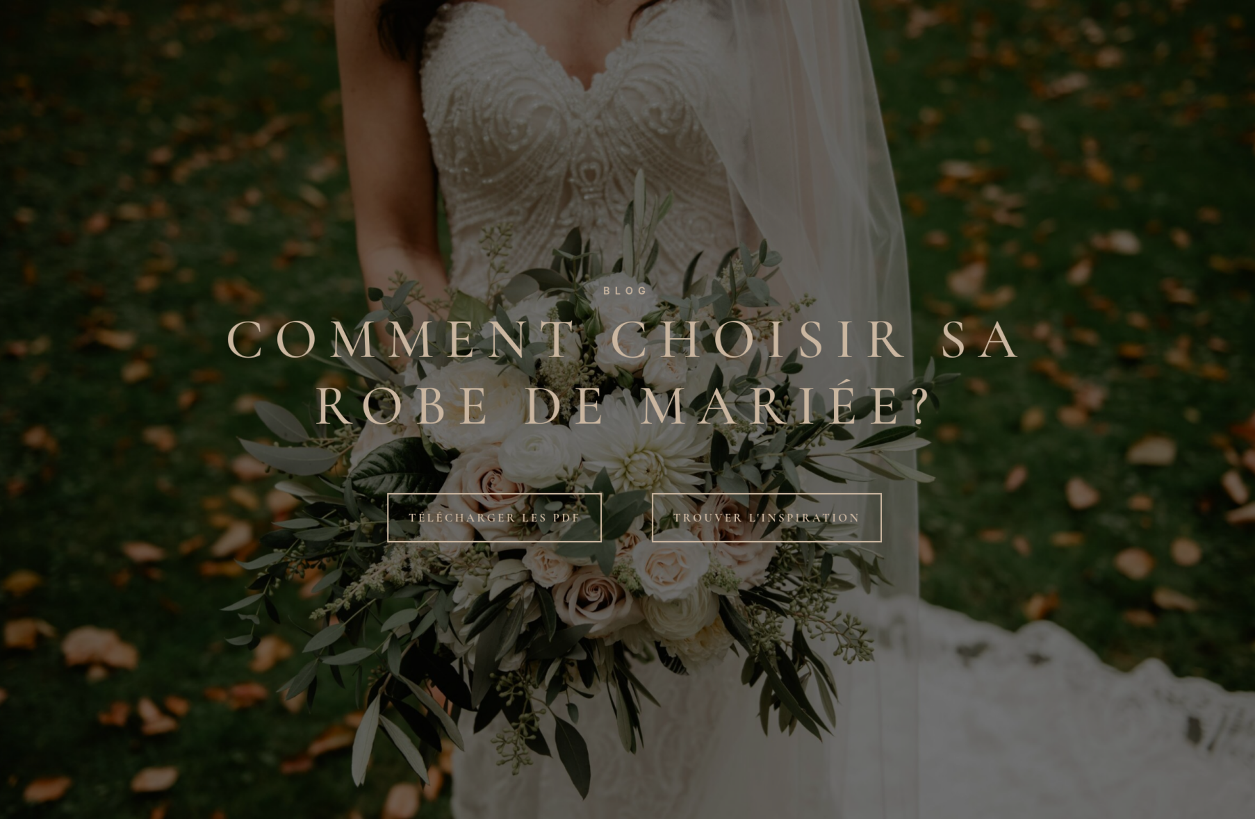 Sous l'aile d'Héra